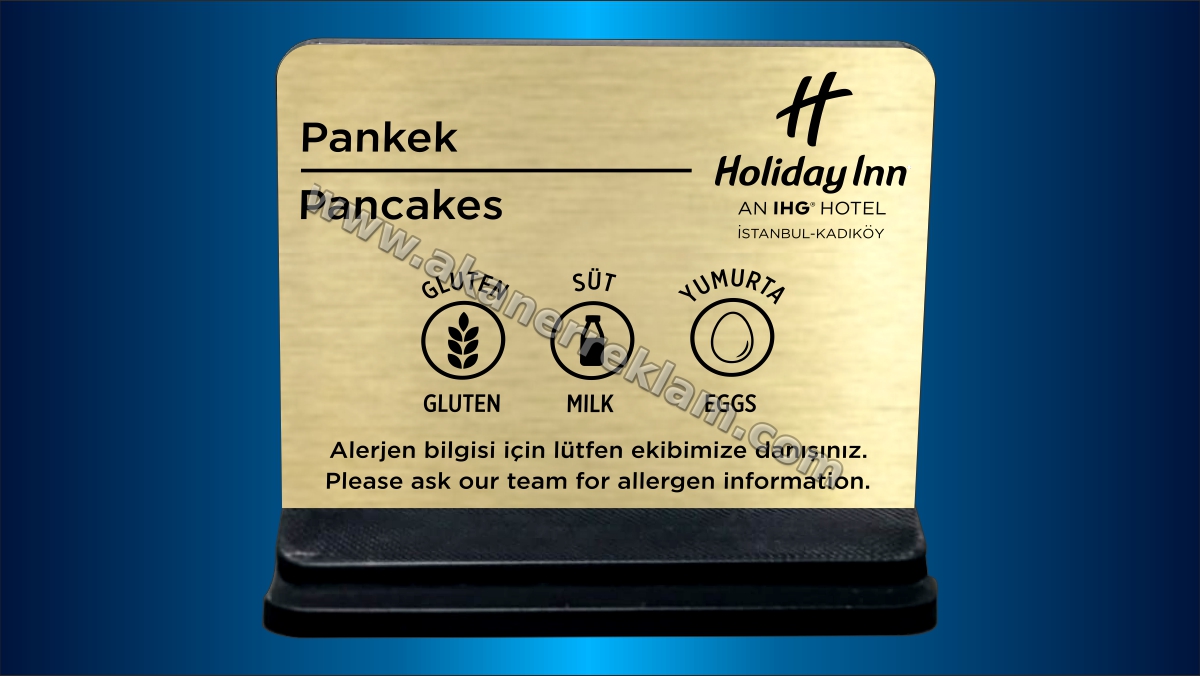 Gıda Alerjen Yönlendirme (Model 3)