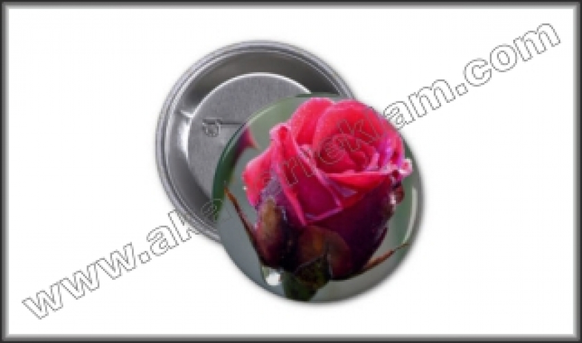 Buton Rozet - 150