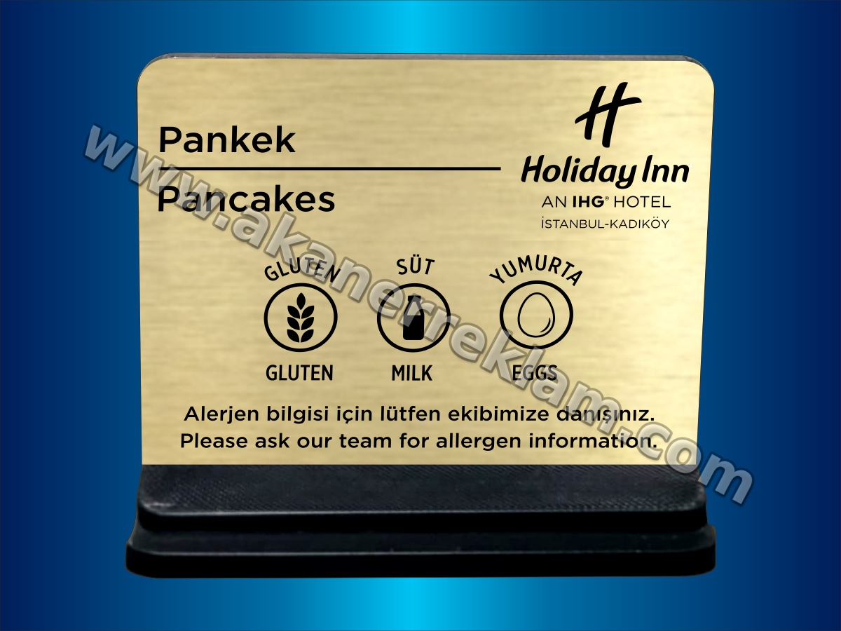 Gıda Alerjen Yönlendirme (Model 3)
